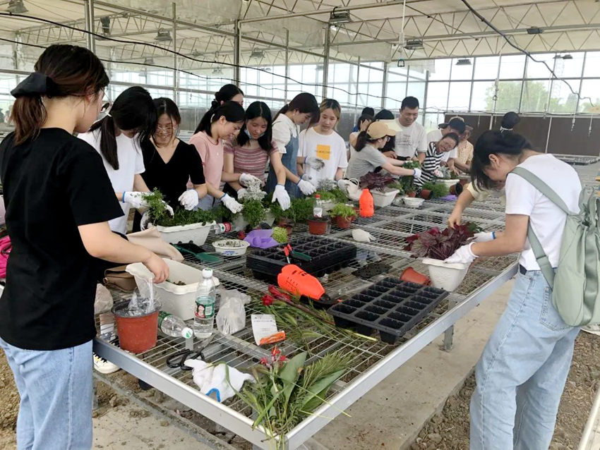 同学们学习花卉组栽。西南财大供图